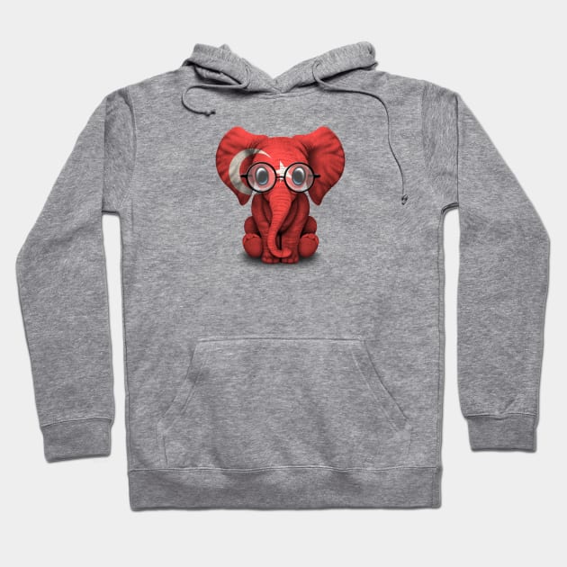 Baby Elephant with Glasses and Turkish Flag Hoodie by jeffbartels